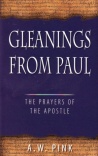 Gleanings from Paul